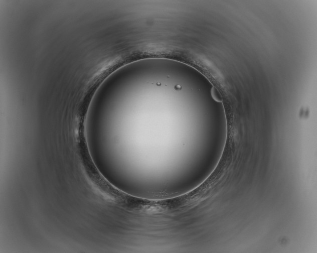 X0000095900115200801111218