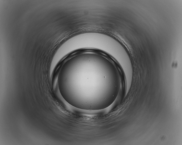 X0000095900117200801111218