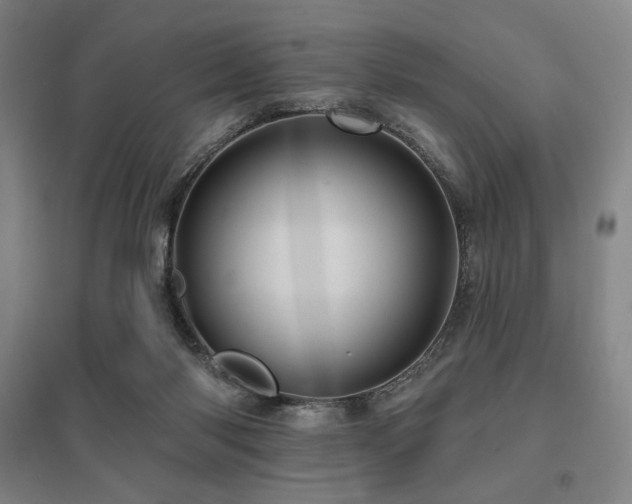 X0000095900118200801111218