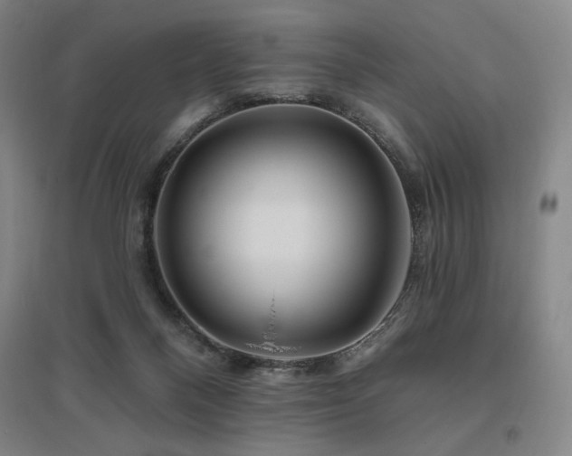 X0000095900120200801111218