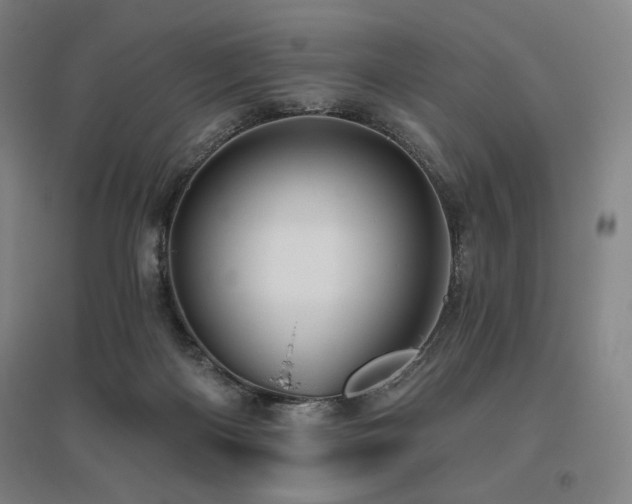 X0000095900122200801111218