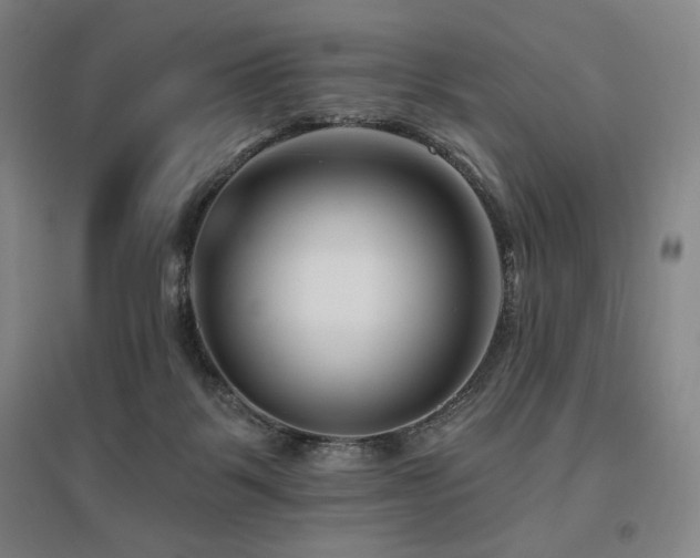 X0000095900123200801111218
