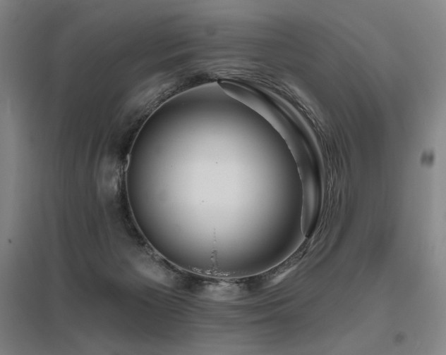 X0000095900125200801111218