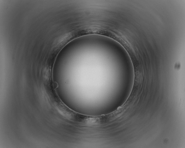 X0000095900126200801111218