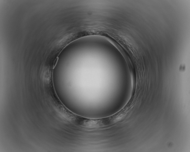 X0000095900129200801111218