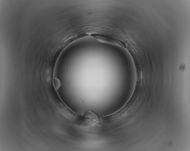 X0000095900131200801111218
