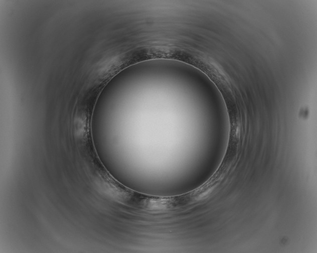 X0000095900134200801111218