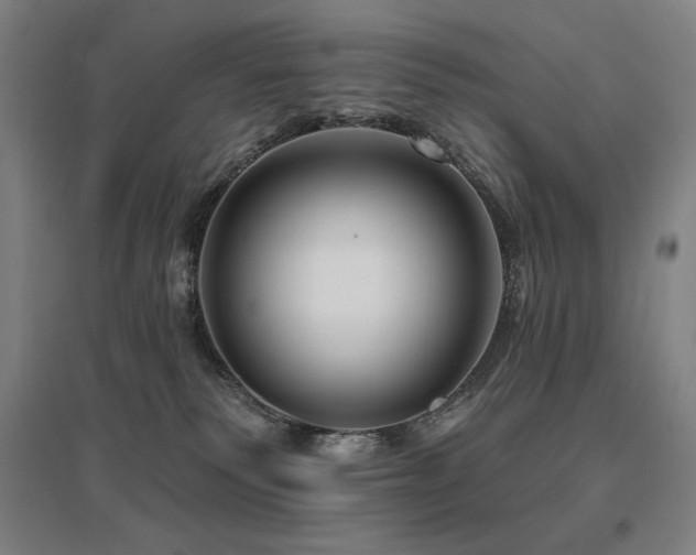 X0000095900135200801111218