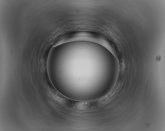 X0000095900136200801111218
