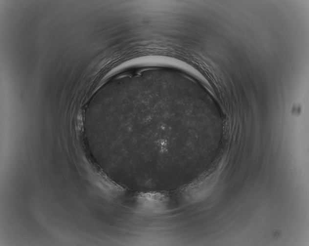 X0000095900137200801111218