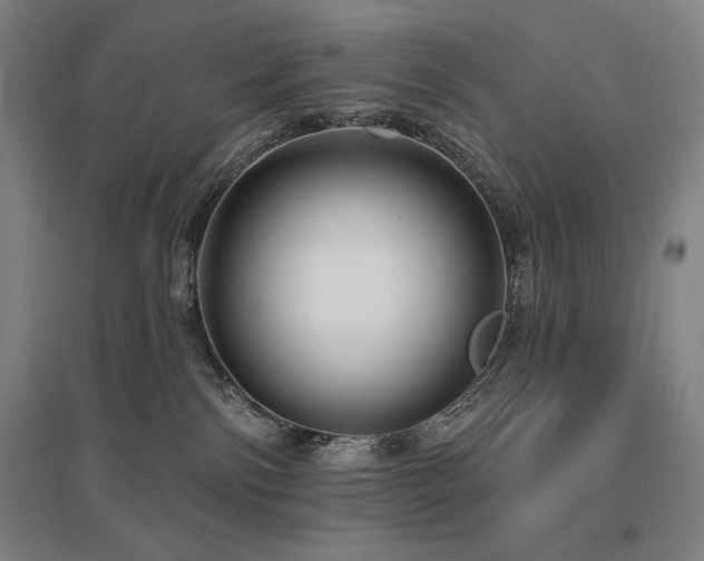 X0000095900138200801111218