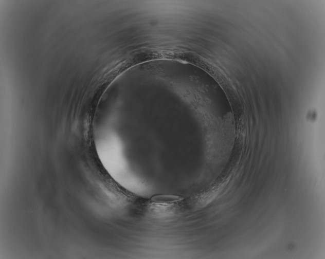 X0000095900139200801111218