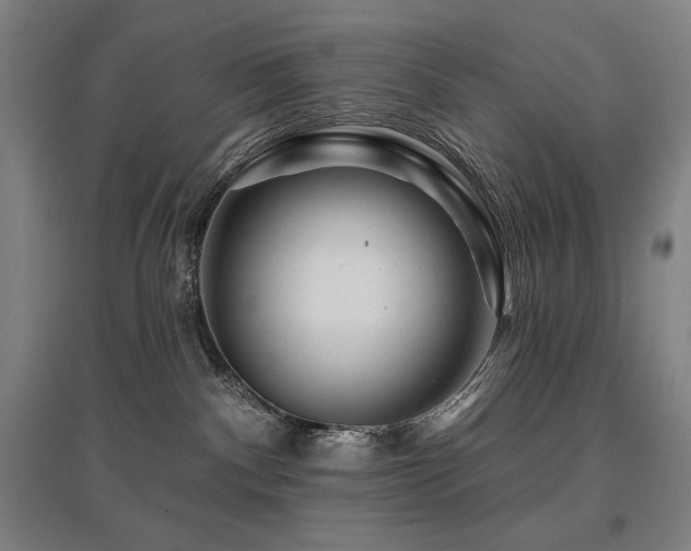 X0000095900140200801111218