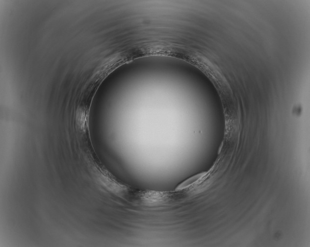 X0000095900142200801111218