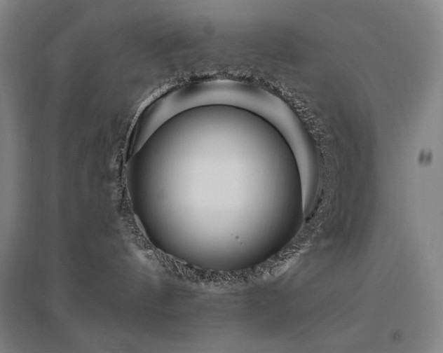 X0000095900144200801111218