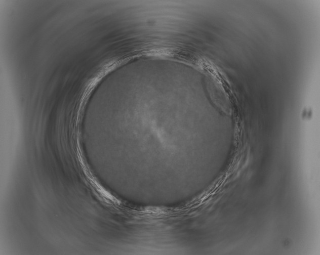 X0000095900145200801111217