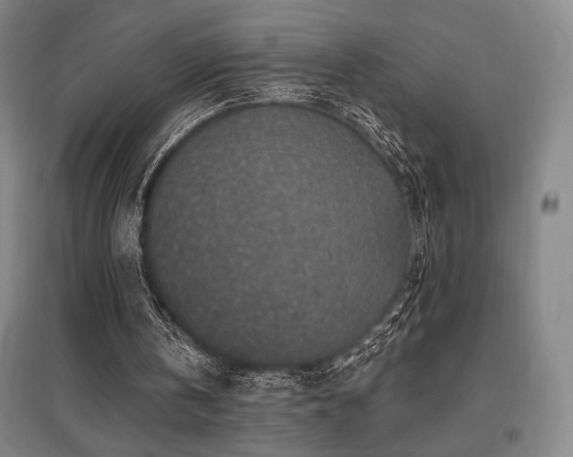 X0000095900146200801111217