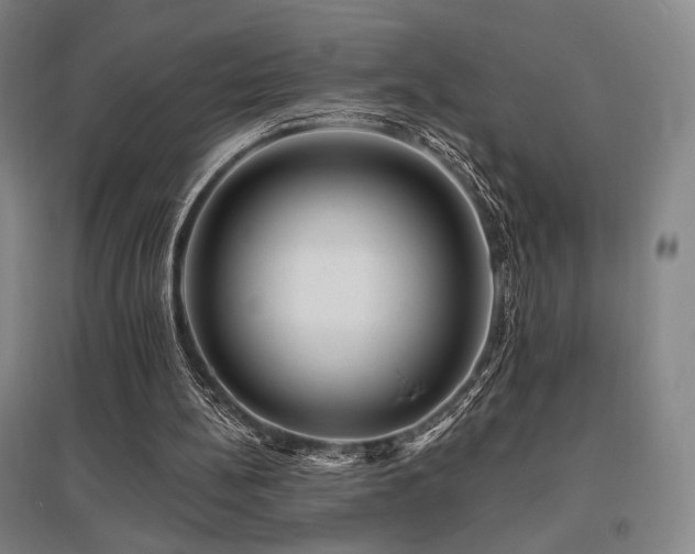 X0000095900148200801111217