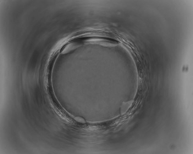 X0000095900149200801111217