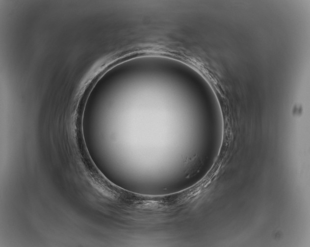 X0000095900151200801111217