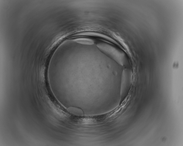 X0000095900154200801111217