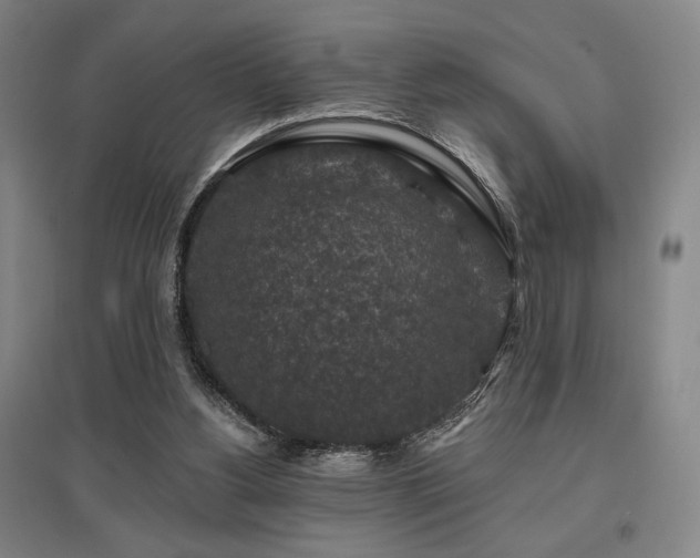 X0000095900156200801111217