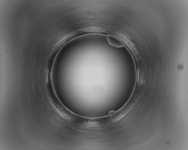 X0000095900157200801111217