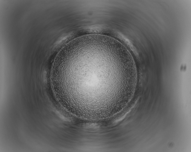X0000095900161200801111218