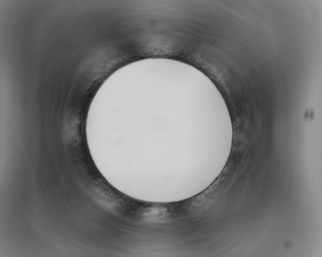 X0000095900162200801111218