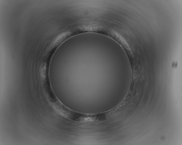 X0000095900163200801111218