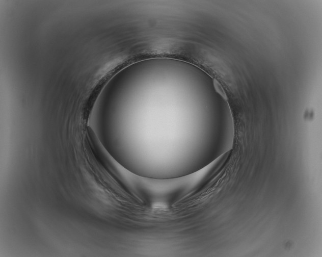 X0000095900164200801111218