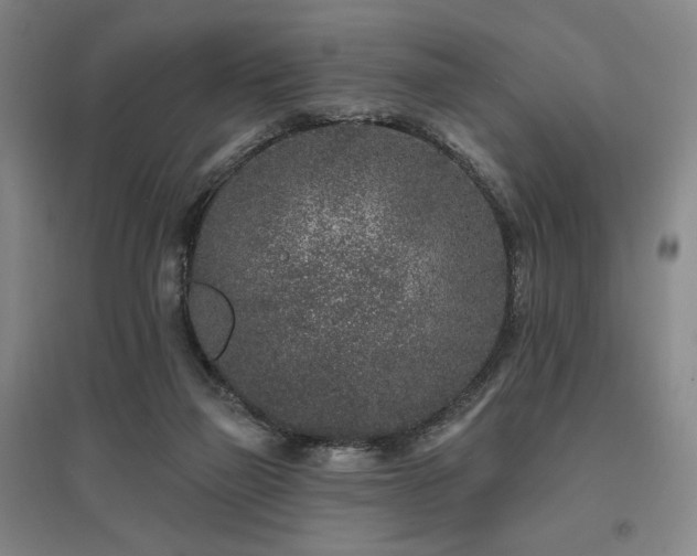 X0000095900165200801111218