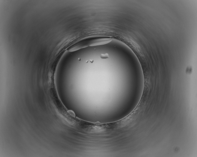 X0000095900166200801111218