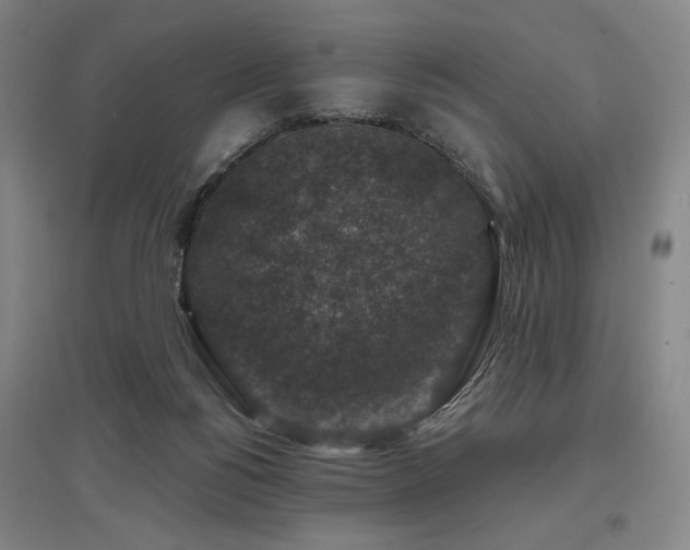 X0000095900168200801111218