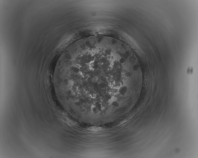 X0000095900169200801111218