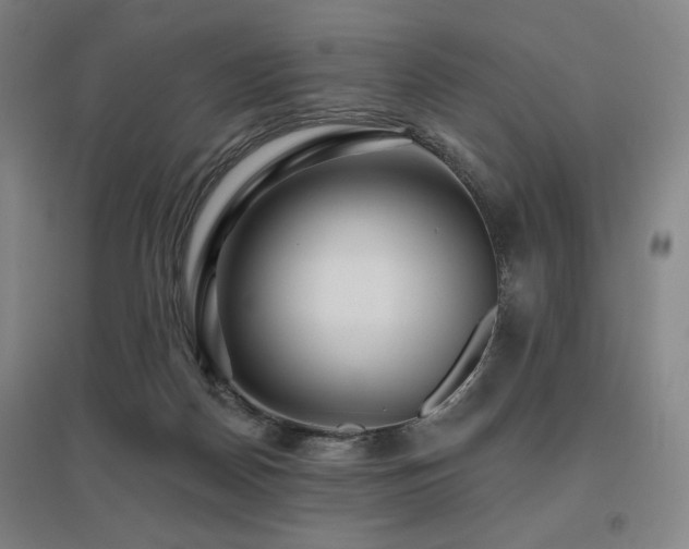X0000095900170200801111218