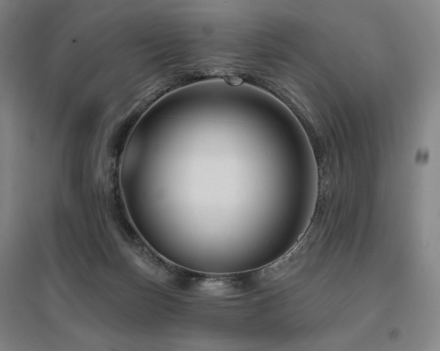 X0000095900171200801111218