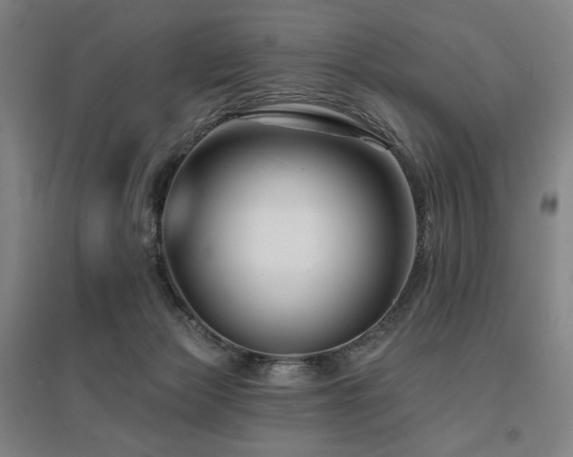 X0000095900173200801111218