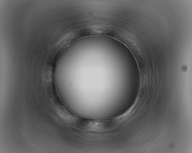 X0000095900174200801111218