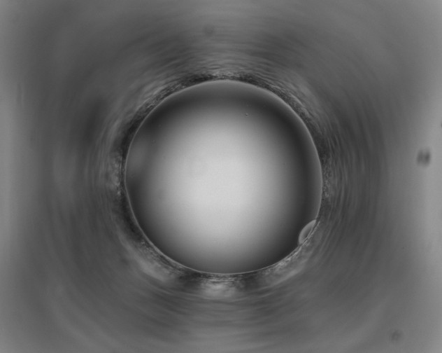 X0000095900175200801111218