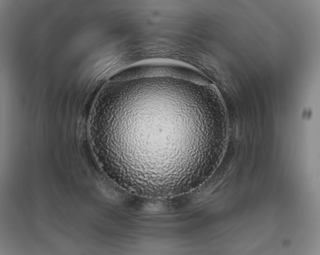 X0000095900177200801111218