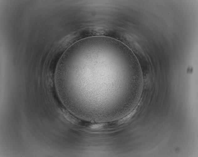 X0000095900178200801111218