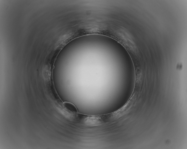 X0000095900179200801111218