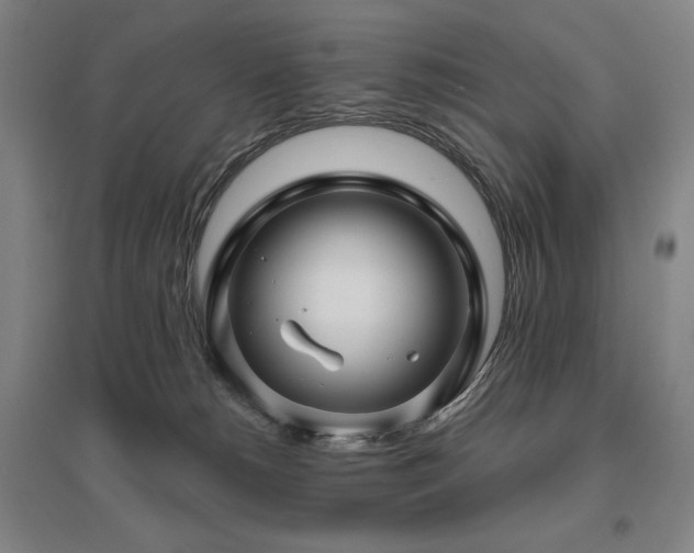 X0000095900180200801111218