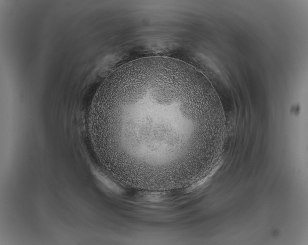 X0000095900182200801111218
