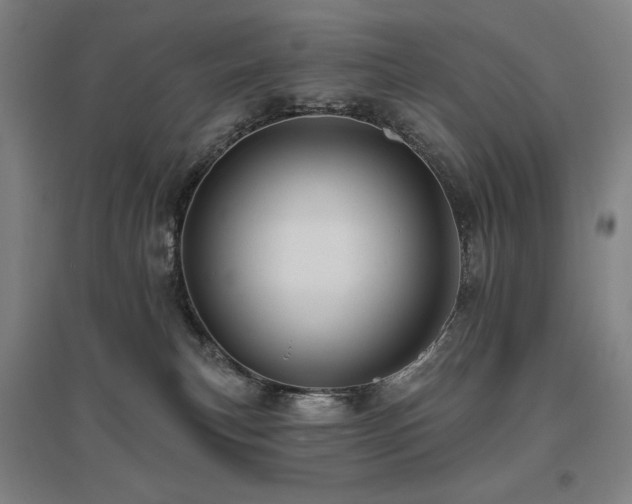 X0000095900183200801111218