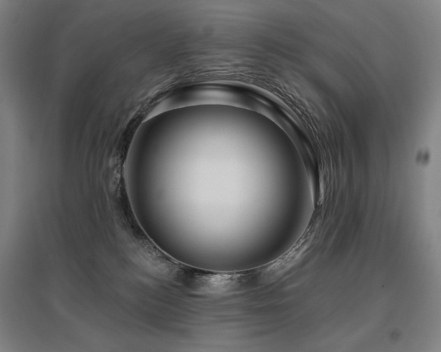 X0000095900184200801111218