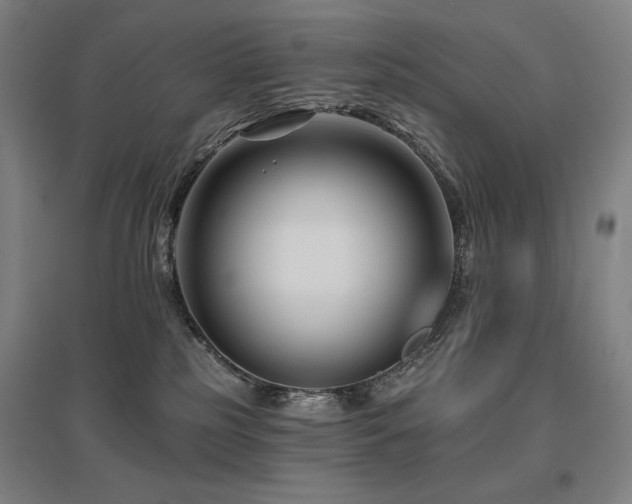 X0000095900185200801111218