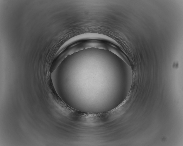 X0000095900186200801111218