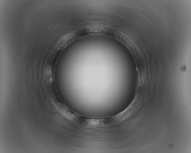 X0000095900187200801111218